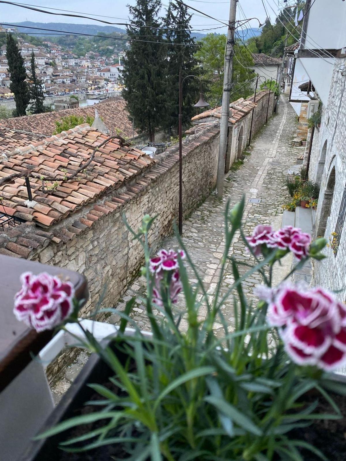 Oda E Skulptorit-Unesco Quarter Berat Eksteriør bilde